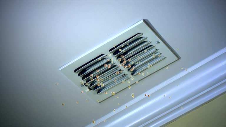 Best HVAC Air Duct Cleaning  in Bad Axe, MI