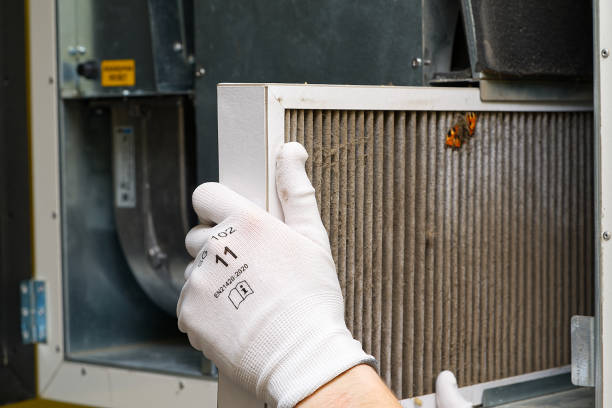 Best Commercial HVAC Duct Cleaning  in Bad Axe, MI