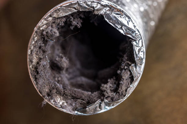 Best Air Duct Cleaning Near Me  in Bad Axe, MI