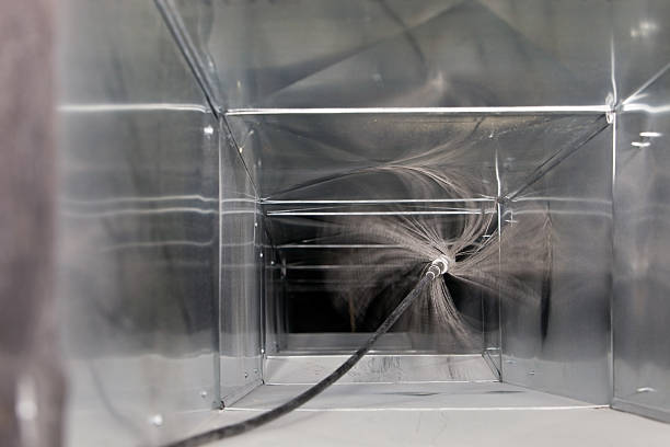 Air Duct Mold Removal in MI