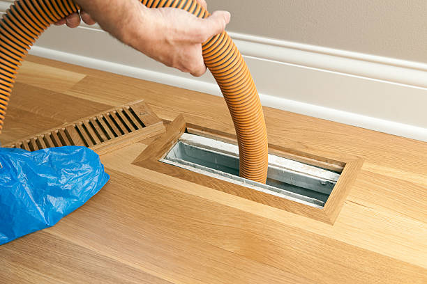 Best Home Air Vent Cleaning  in Bad Axe, MI