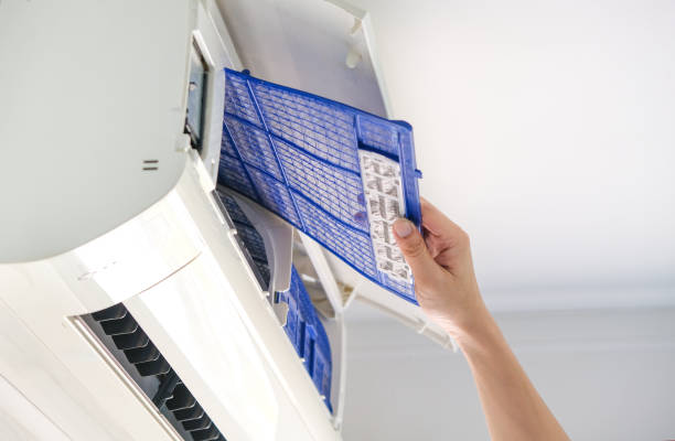 Best Air Vent Cleaning Services  in Bad Axe, MI