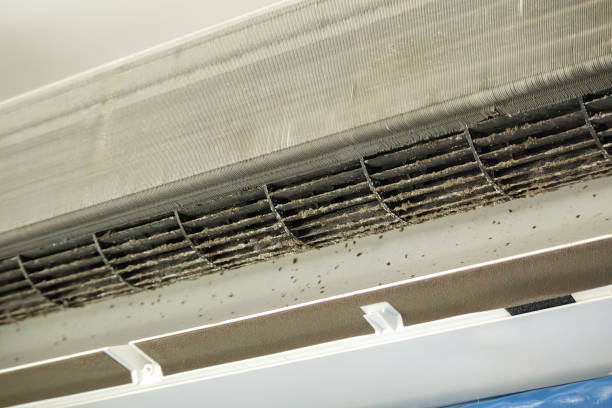 Best HVAC Maintenance and Cleaning  in Bad Axe, MI